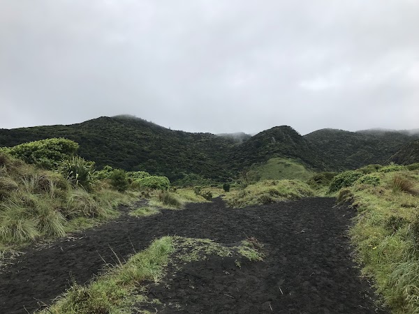 Whatipu Caves Track 4