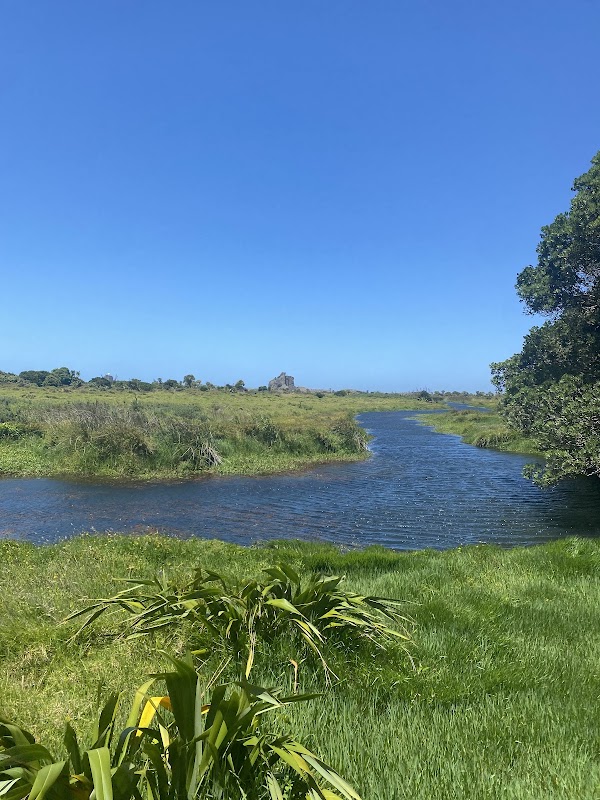 Whatipu Caves Track 2