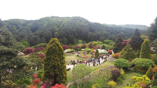 Morning Calm Family Zoo 5