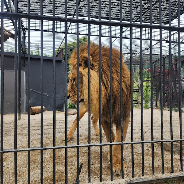 Morning Calm Family Zoo 4