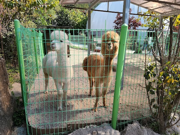 Morning Calm Family Zoo 3