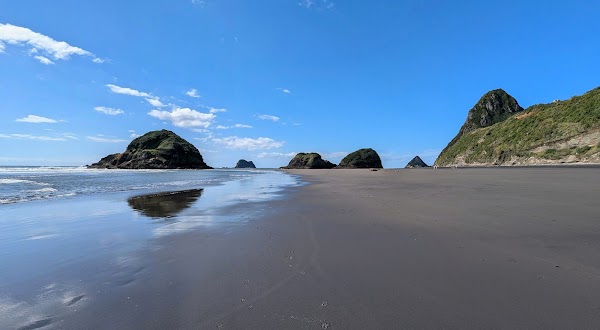 Ngā Motu / Sugar Loaf Islands