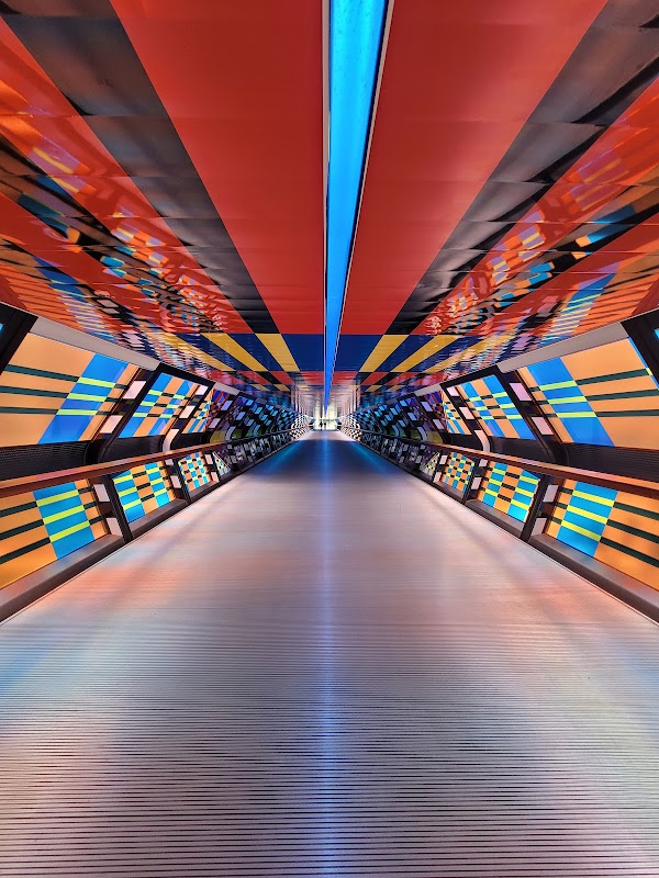 Crossrail Place Roof Garden 5