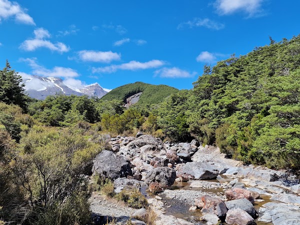 Mangawhero Falls - Gollum's Pool & Ithilien 5