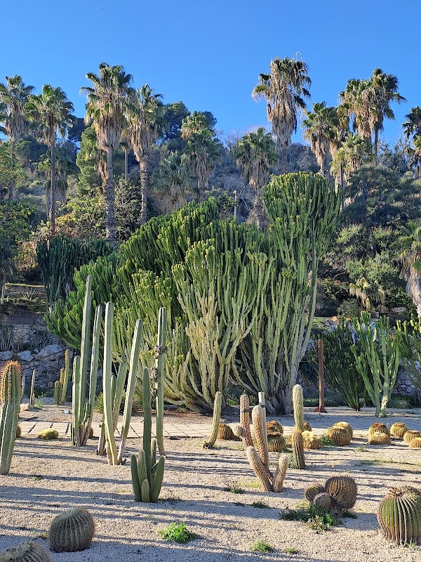 Jardins de Mossèn Costa i Llobera 5