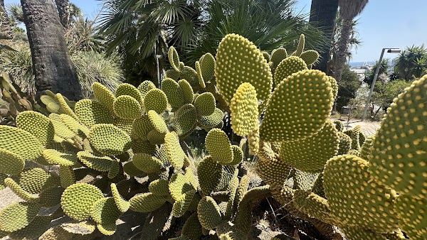 Jardins de Mossèn Costa i Llobera 3