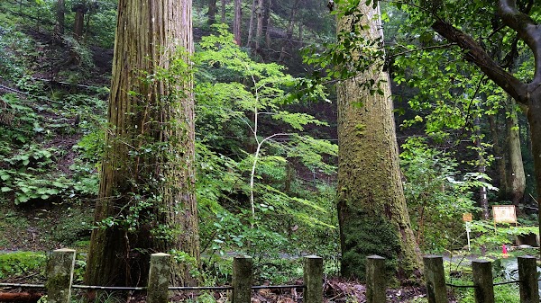 Kifune Shrine - Okumiya [Rear Shrine] 2