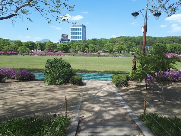 Boramae Park 4