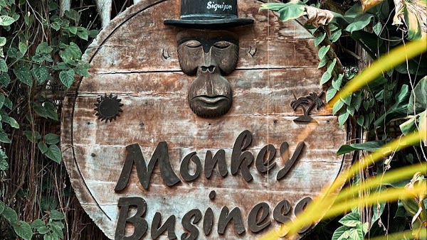 Monkey Business 3