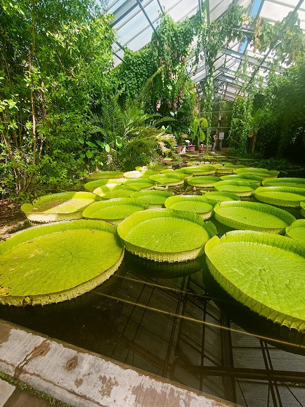 Botanical Garden, Bonn 6