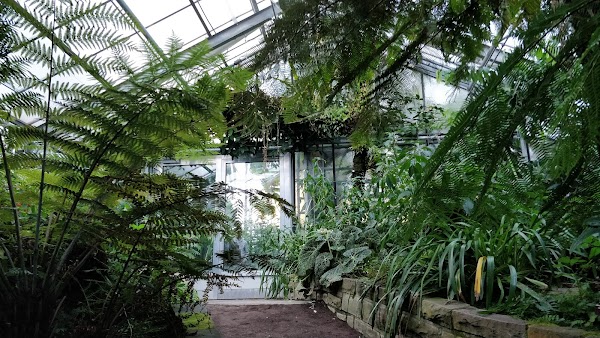 Botanical Garden, Bonn 4