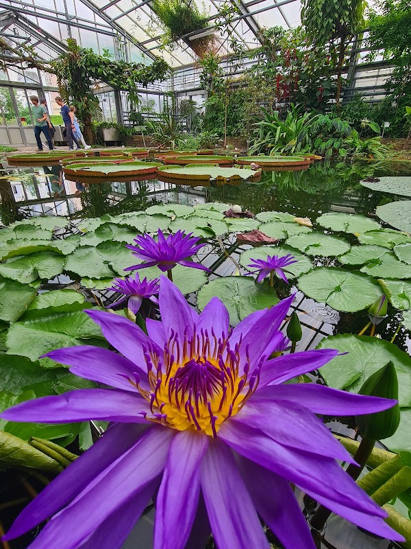 Botanical Garden, Bonn 3
