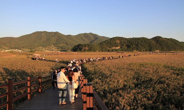 Suncheon Bay 4