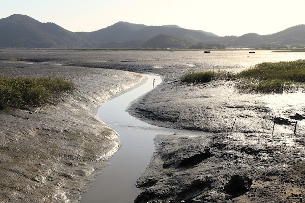 Suncheon Bay 2