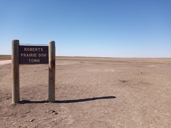 Roberts Prairie Dog Town 1