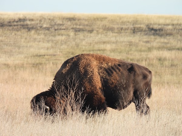Hay Butte Overlook 4