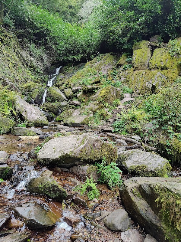 Ballysaggartmore Towers 3