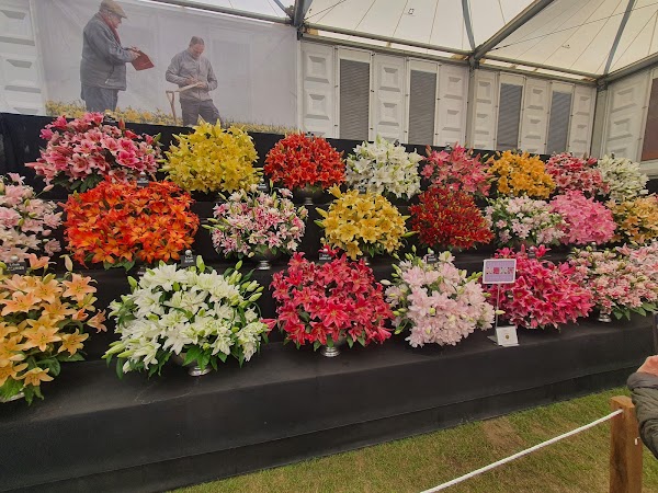 Chelsea Flower Show 4