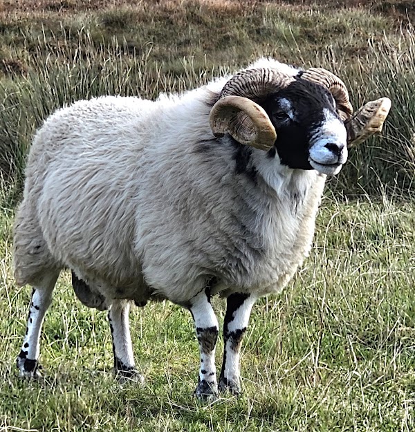 Bride's Veil Falls 3