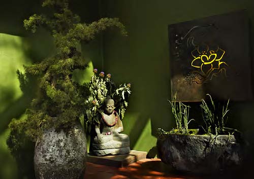 Kabuki Springs & Spa