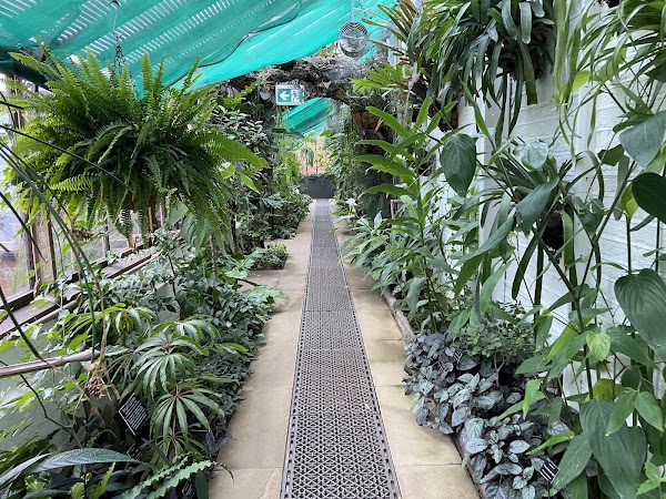 Chelsea Physic Garden 4