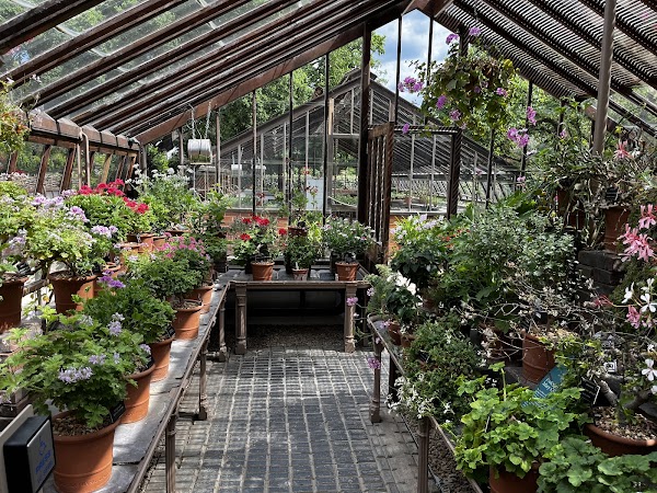 Chelsea Physic Garden 3