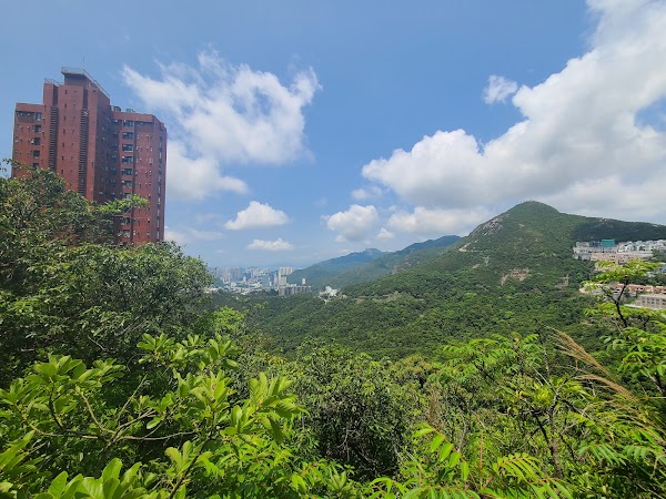 Wong Nai Chung Reservoir Park 3