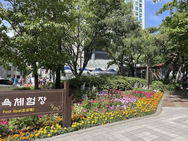 Yuseong foot bath