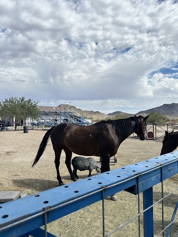 One Of A Kind Petting Zoo 5