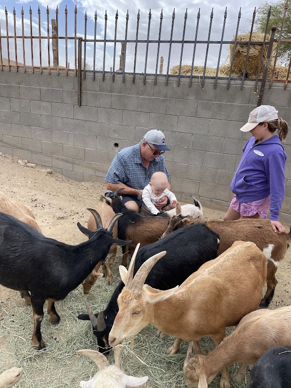 One Of A Kind Petting Zoo 4