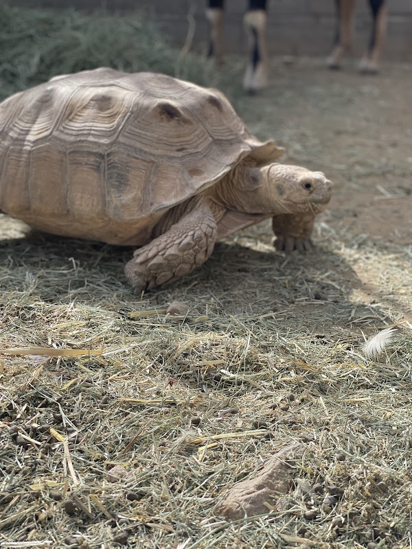 One Of A Kind Petting Zoo 3