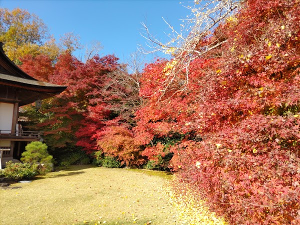 Okochi Sanso Garden 2