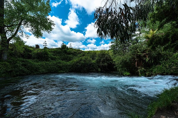 Te Waihou Blue Springs (Whites Road entrance) 2