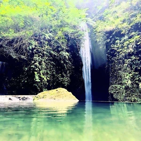 Goa Raja Waterfall