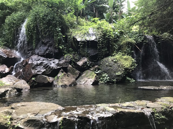 Goa Raja Waterfall 2