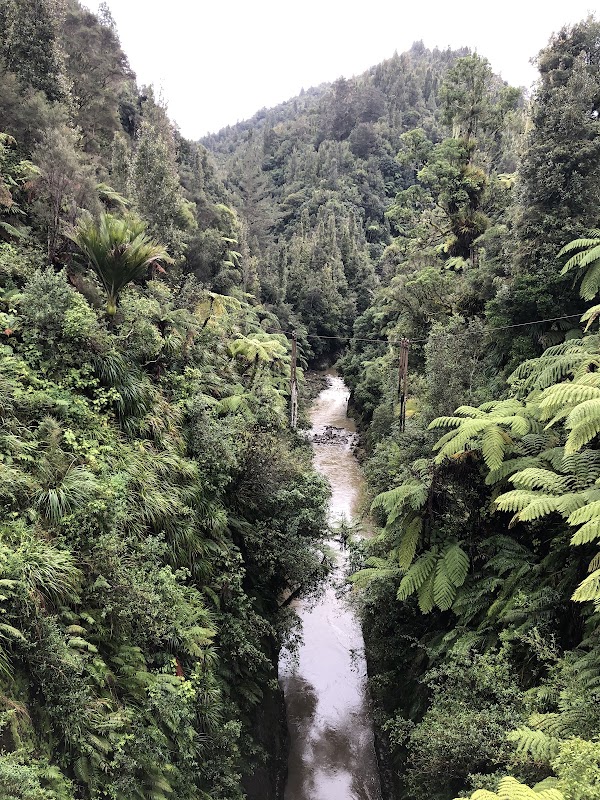 Bridge to Nowhere Lodge, Tours and Campground 2