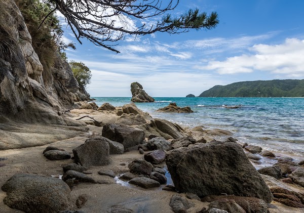 Wainui Bay 4