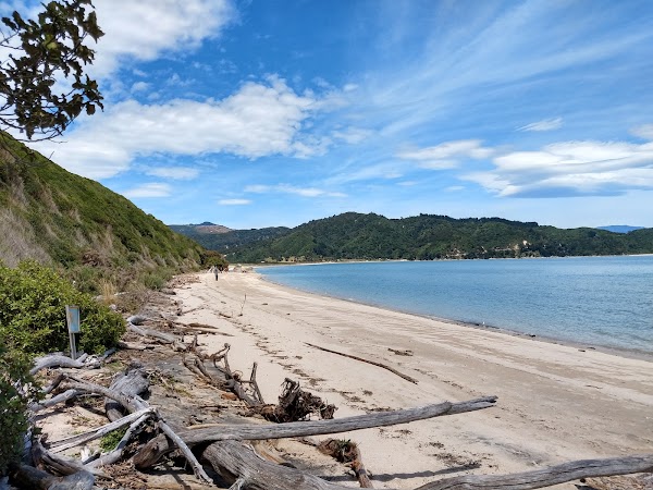 Wainui Bay 2