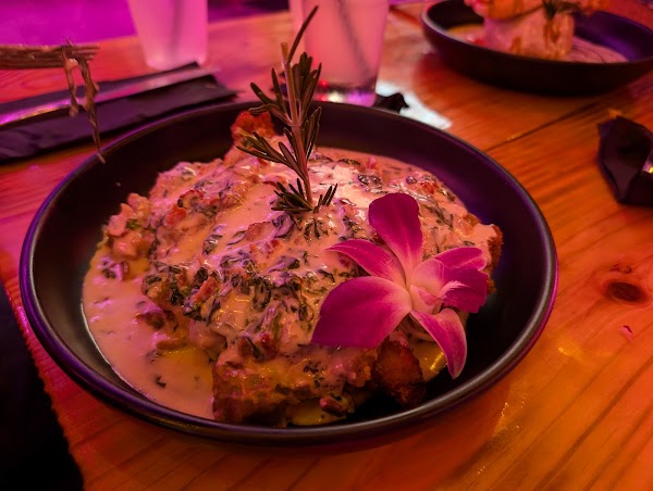 El Tiesto Cafe Fort Lauderdale 4