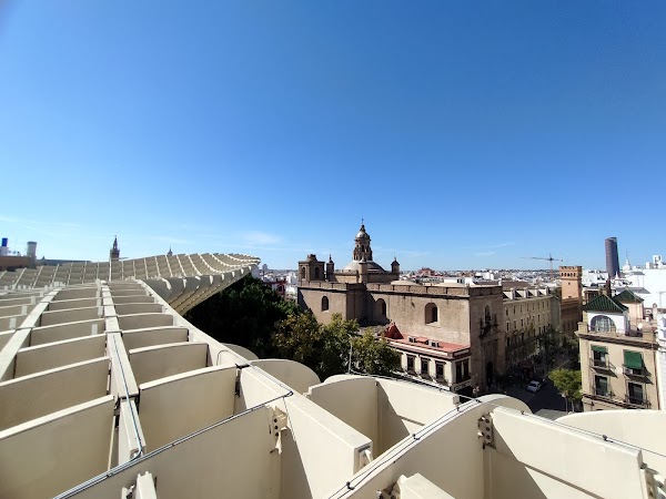 Setas de Sevilla 3