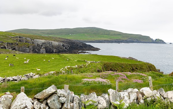Dunlough Fort (Castle) 4