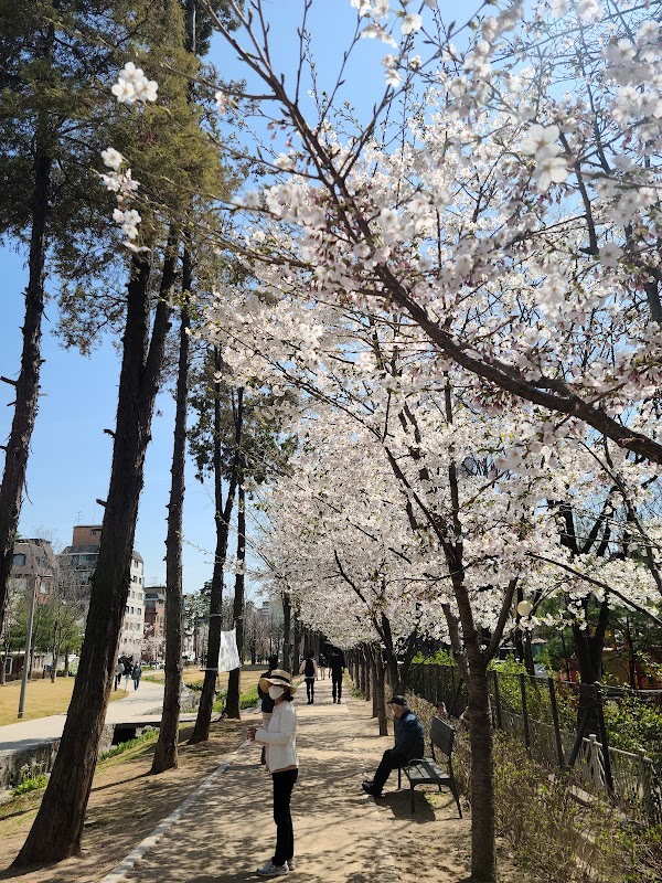 Gyeongui Line Forest Park 4