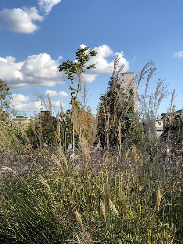 Gyeongui Line Forest Park 3