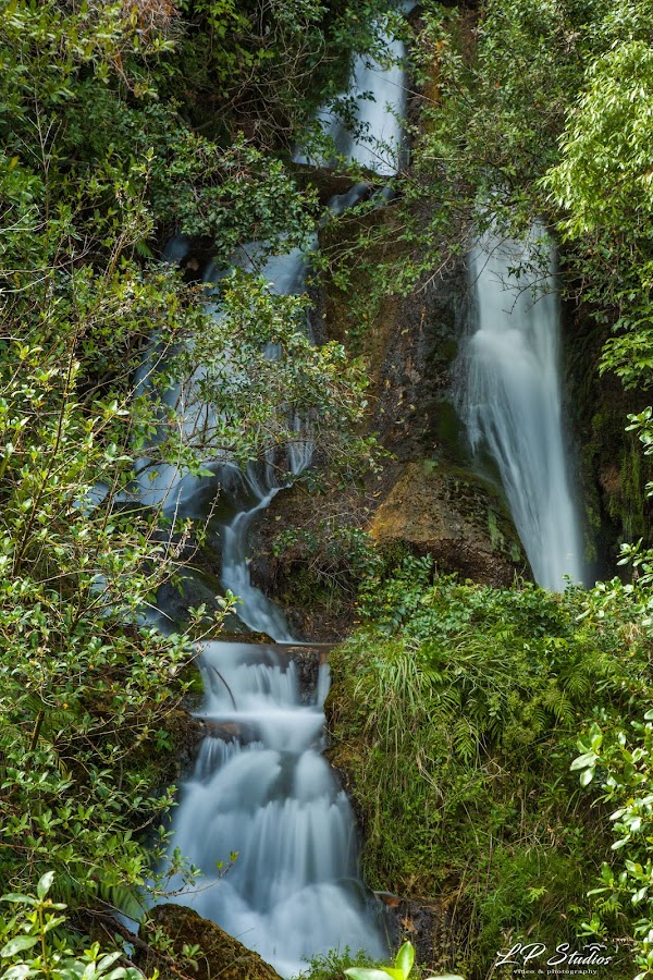 Pipinui Falls 3