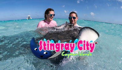 Stingray City Cayman Islands 2