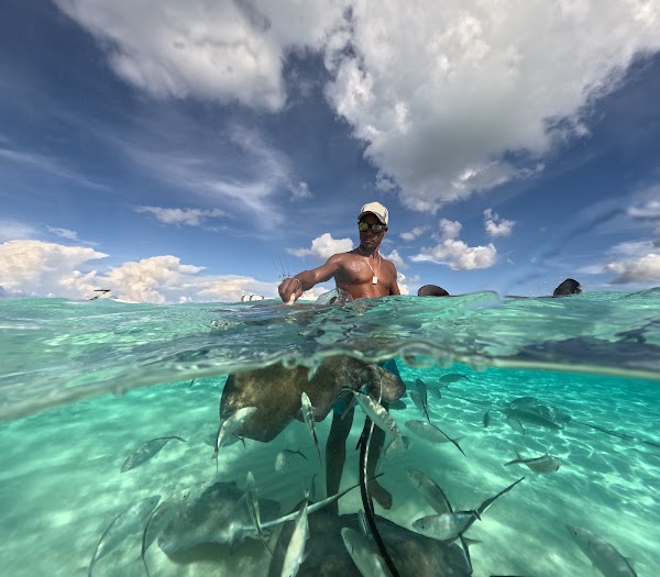 Stingray City Cayman Islands 1