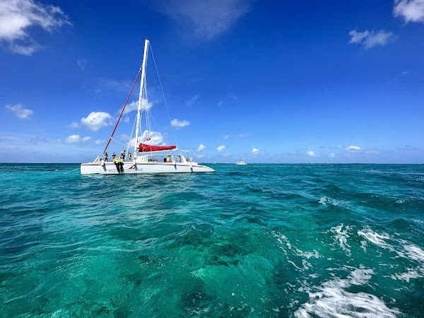 Stingray City Cayman Islands 5