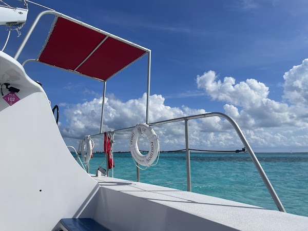 Stingray City Cayman Islands 3