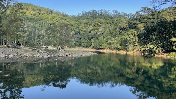 Upper Shing Mun Reservoir 4