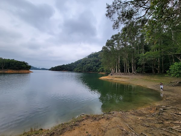 Upper Shing Mun Reservoir 3